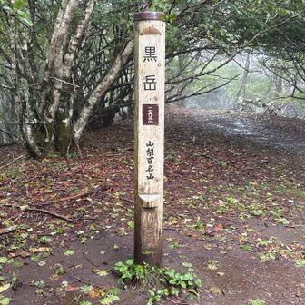 やはり山梨百名山の標識は力強い。