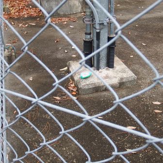 ぬあんと、フェンスの内側に😮関係者の方が中に入れてくれたのかな？これで安定は間違いなしですよ