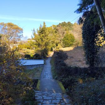 山の辺の道を歩きます