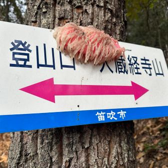 (;°□°)!え？何コレ！？気持ち悪っ②