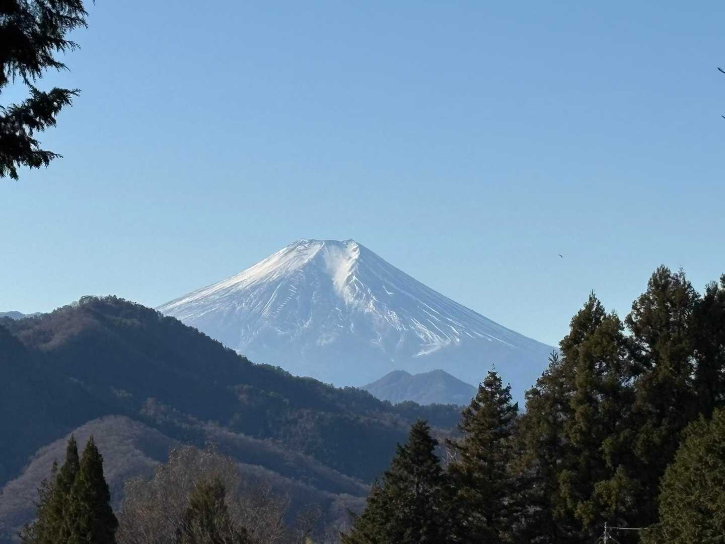 富士山よく見える👀