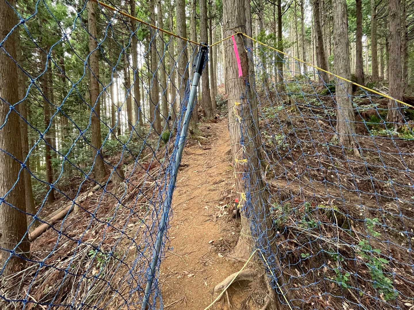 高畑山 往復コースの写真