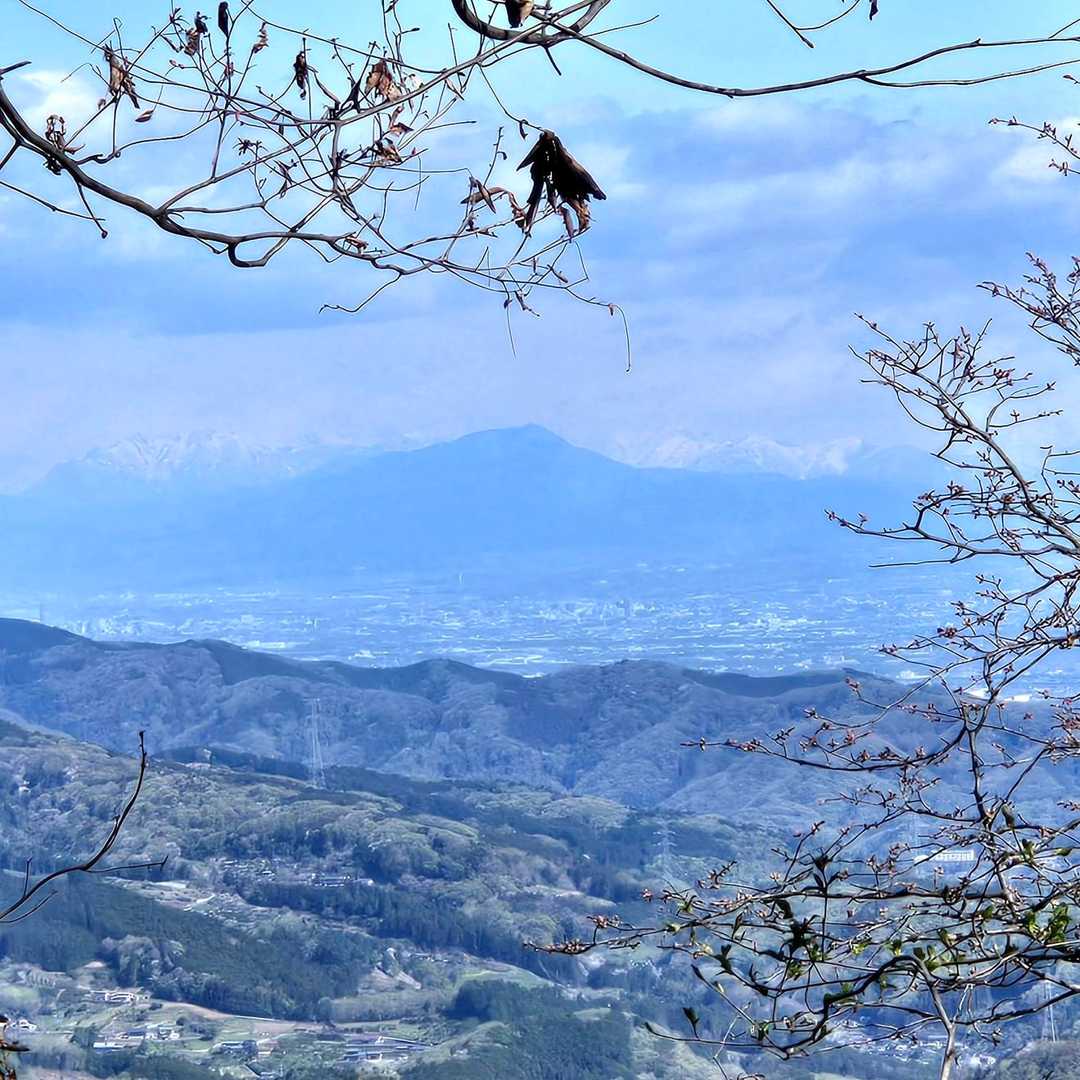 途中で見えたお山
