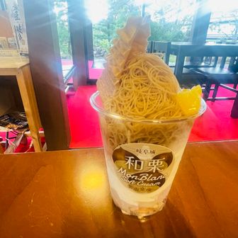 下山後食べたいが閉店になるので前倒しで頂きます🍦