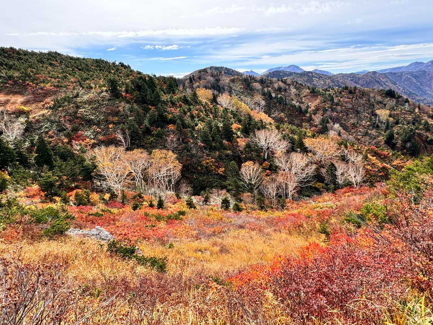 三方岩岳往復 | ホワイトロード最高地点から50分、北アルプス〜白山を望む岩の頂の写真