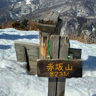 赤坂山とおちゃこ🎵