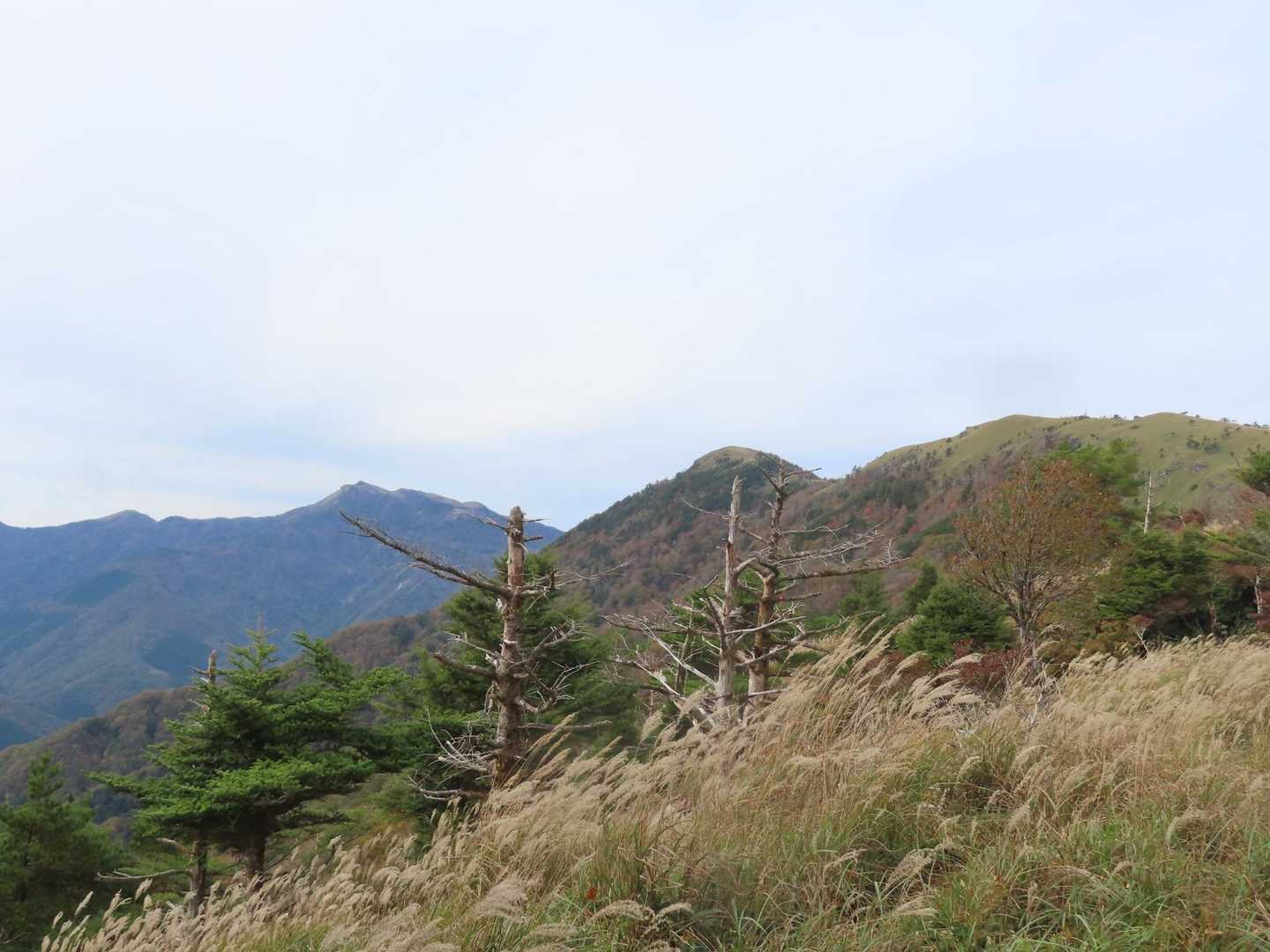 あの向こうまで。
奥に見えてるのが三嶺。
風があります。強風中継🍃