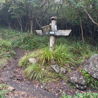 ここから分岐！今日は先に荒山に向かいます〜