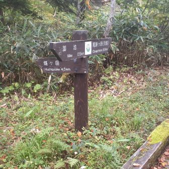 登山口に戻ってきました🎵下山は、泥濘、泥まみれ