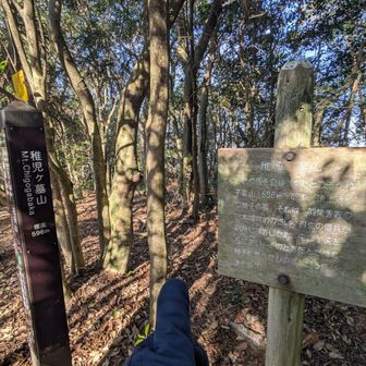 稚子ヶ墓山
その名の通り……（続く）