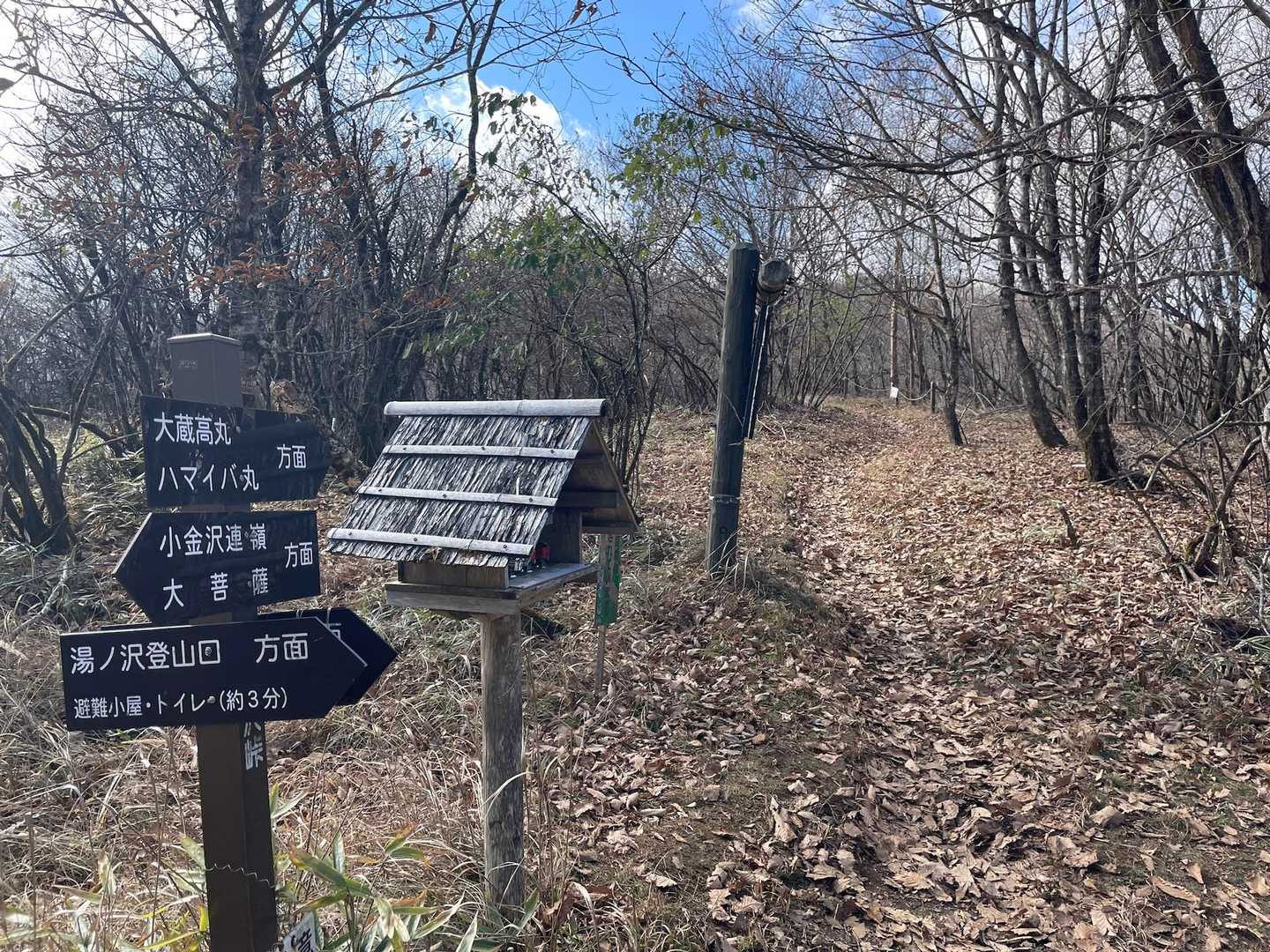 気を取り直してスタート🚶
