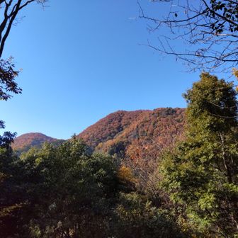雄岳と雌岳。見る方向で印象が変わります。それにしても山の秋に澄んだ空、素敵です。