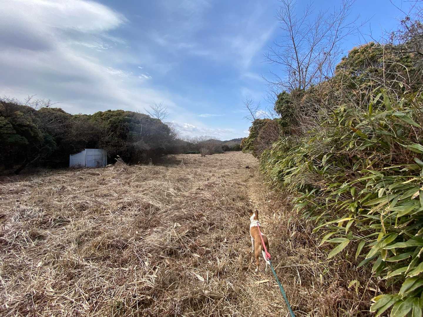 草🌱は刈られていますが
野原ではないです💧😅