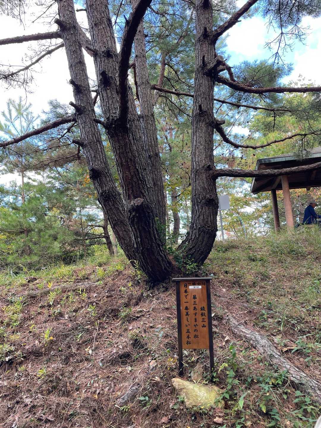 ５✋本松🌲さんです♪😄