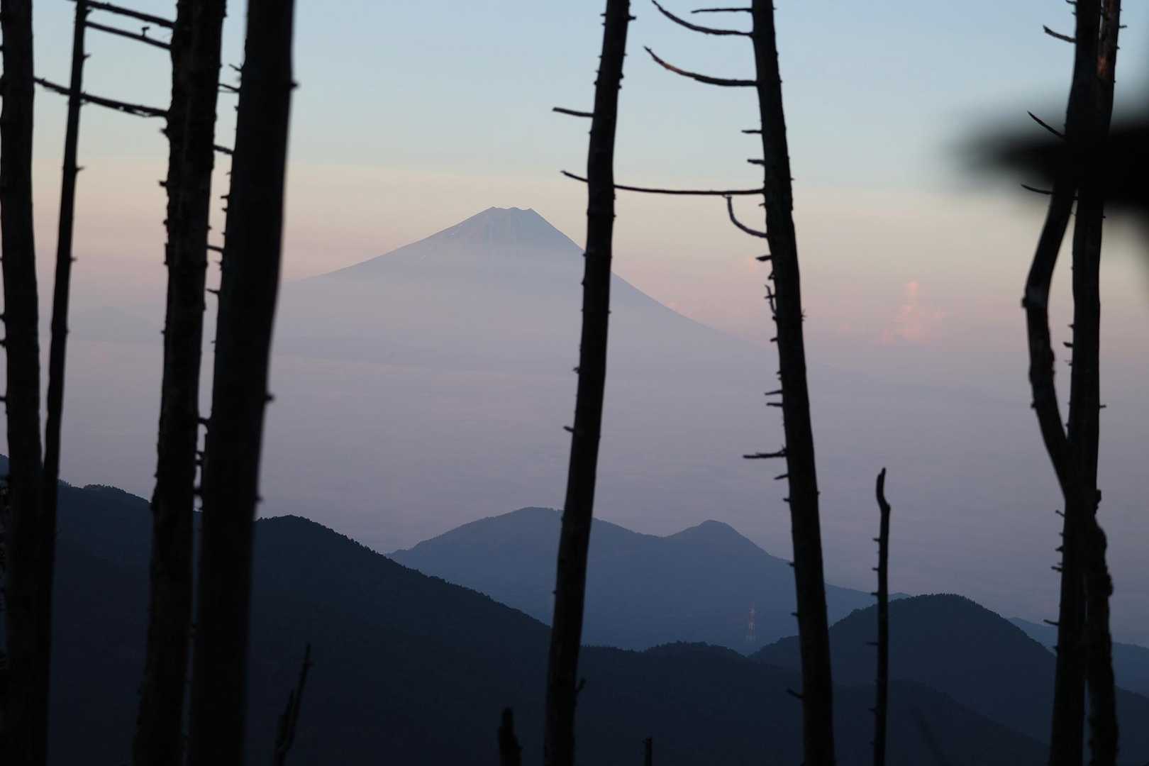 既に富士山がピンクに色付いてる