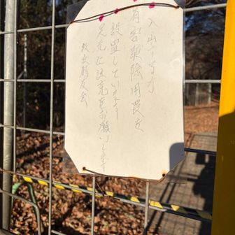 舗装路には罠なしでした