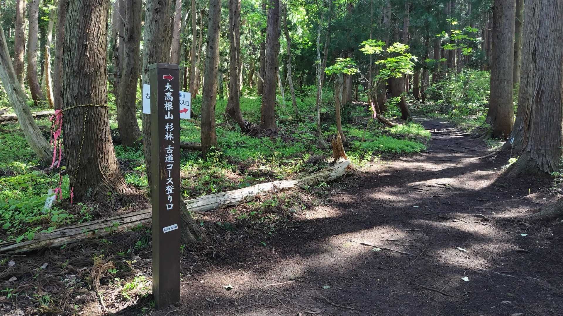 真ん中の古道コースから入山
早速、日々整備されてるお父さん
フラワートレッキングのお姉様とスライド