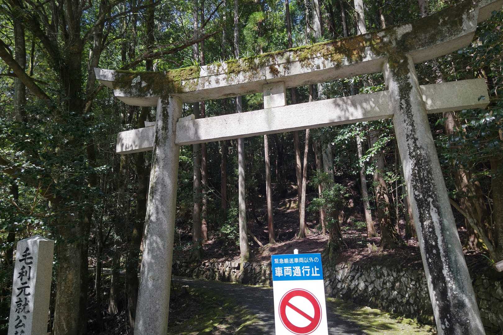 この鳥居をくぐります☝️