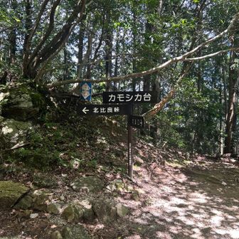 下山ラストスパート　気を緩めず歩く
