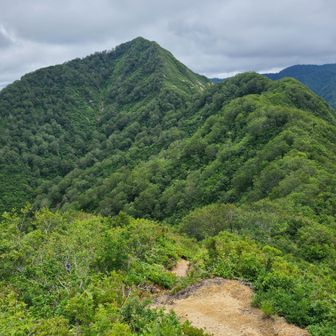 山頂を望む