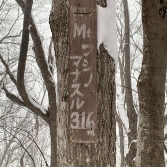 動物の足跡🐾を辿って登頂〜🎶
