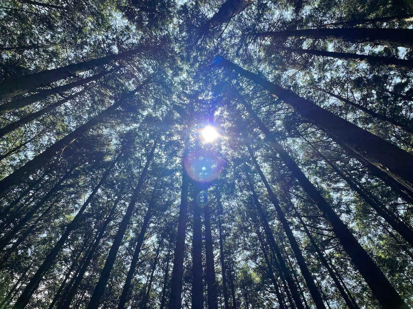 高山バス停-戸知山登山口-戸知山 往復コースの写真