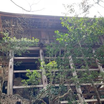 何度見ても立派