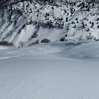 知人の滑走⛷️の跡
