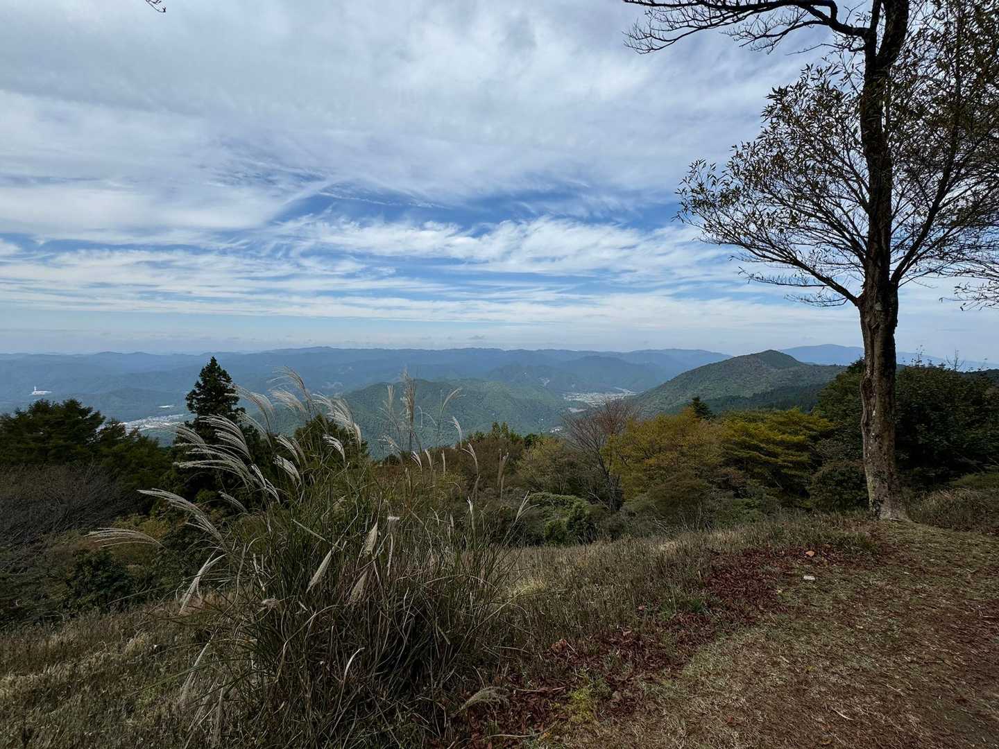 ロープウェイ比叡駅-横高山-水井山-仰木峠-戸寺バス停 縦走コースの写真