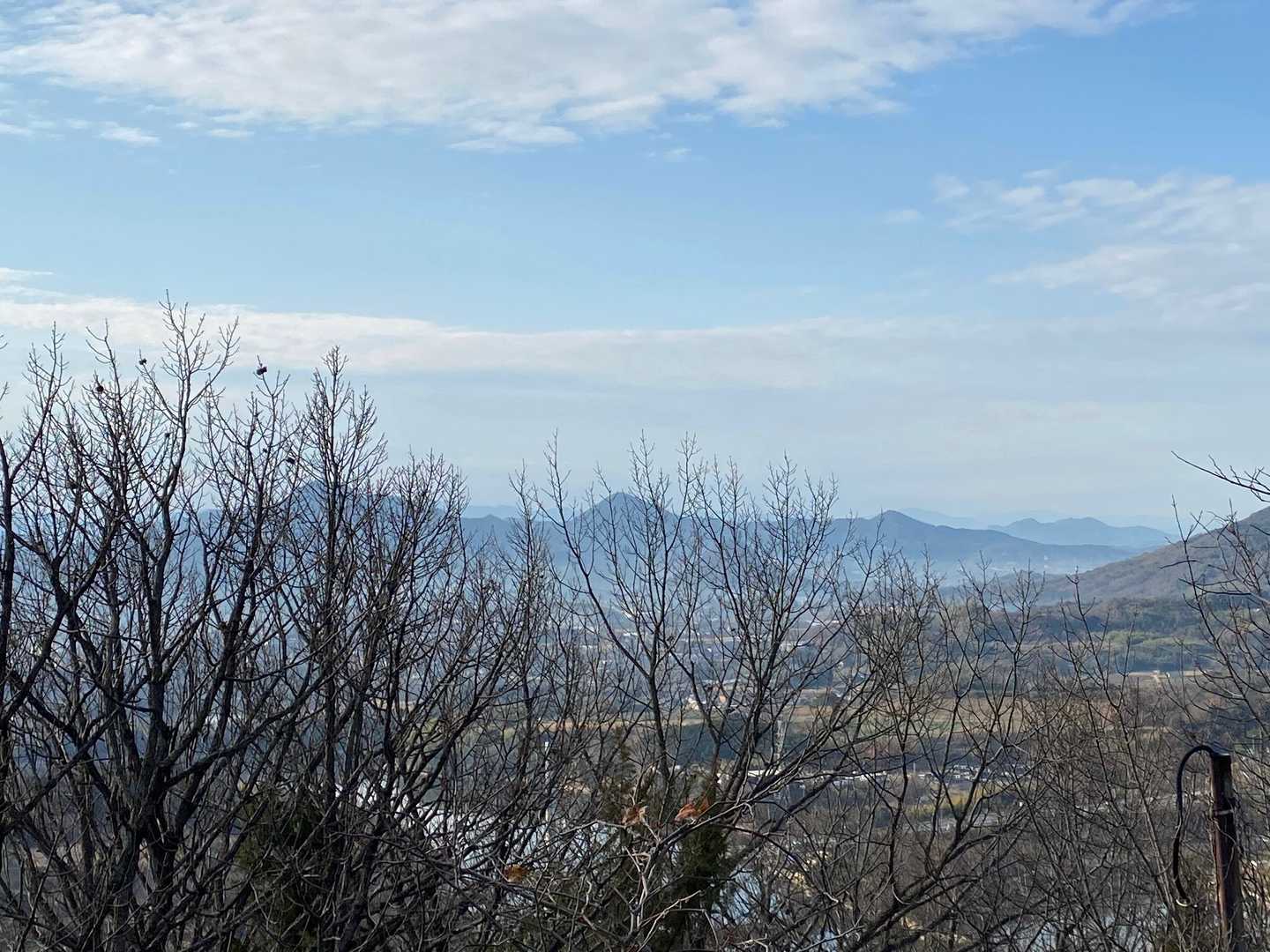 猫山から猫山が見えて、満足いたしました😁