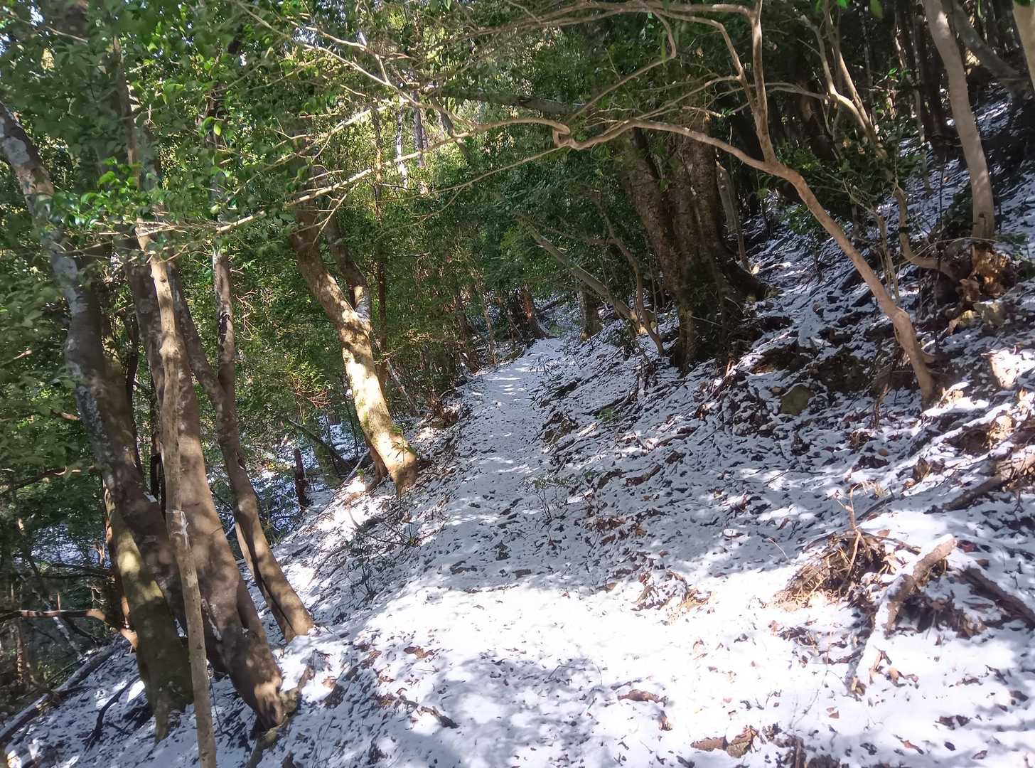 スタートから雪道続く