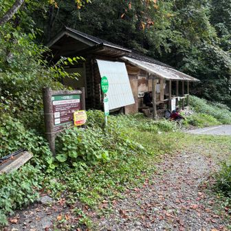 ここからまだタクシー乗り場まで50分くらい林道歩き