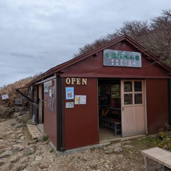 ノンアルで乾杯