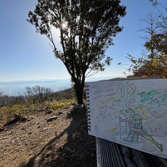 九千部山ドラゴンの一匹目。普通のハイカーなカメレオンか。