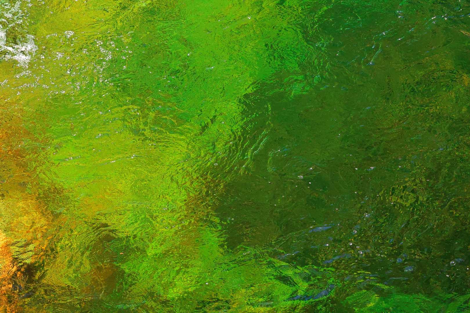 水の流れる音が心地よい💚