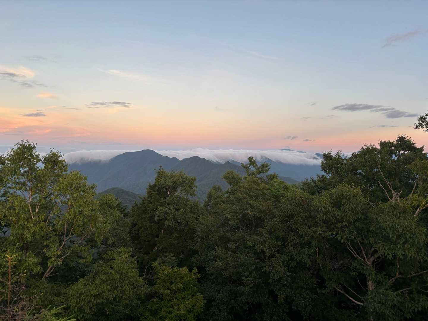 南ア方面は雲海で埋め尽くされていました。
