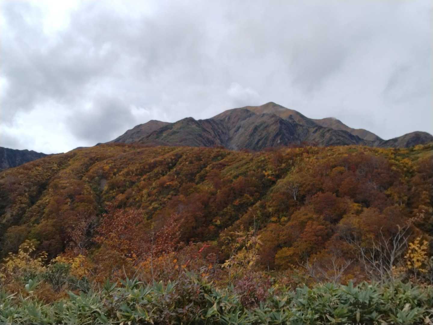 いい山でした