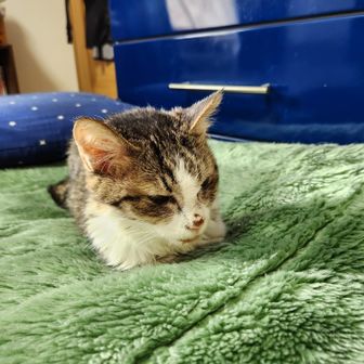 ごっち(介護福祉士の山日記⛰)