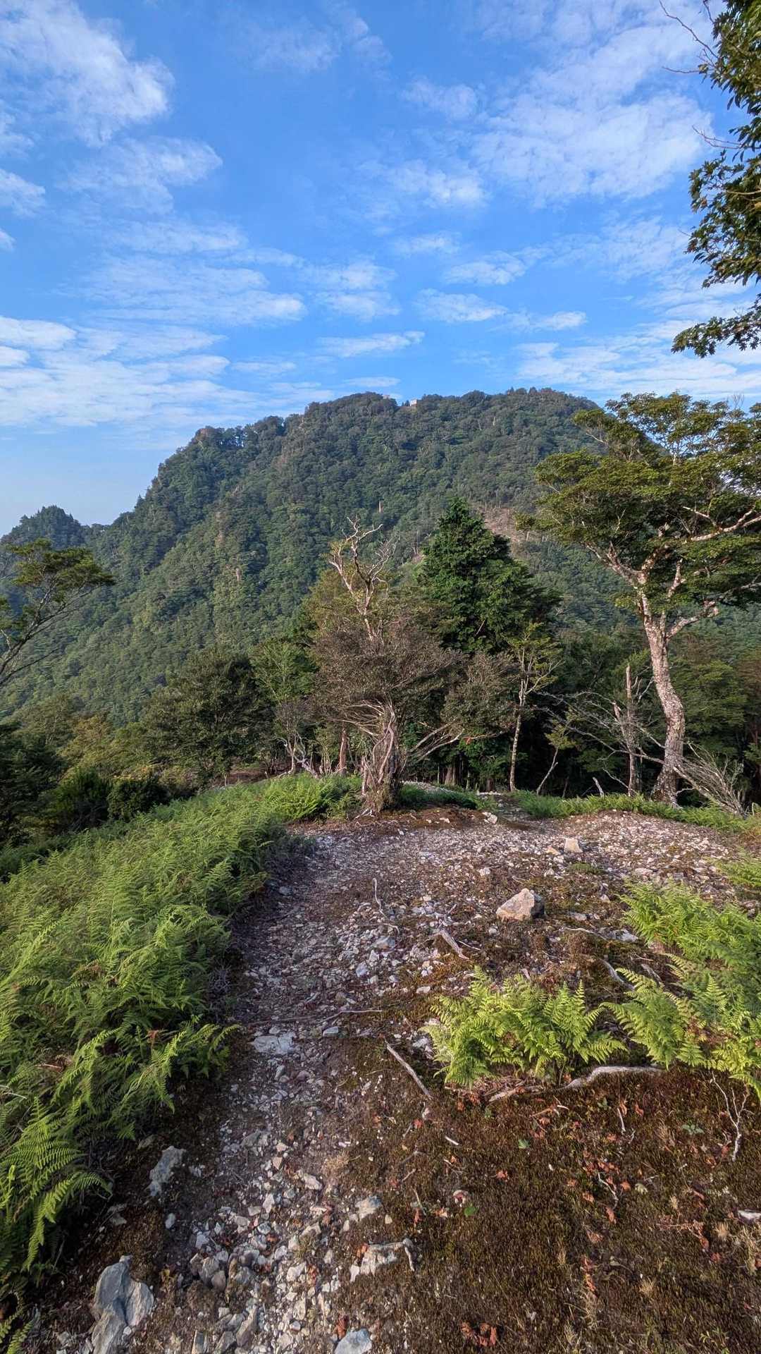 行仙岳・笠捨山登山口-行仙岳-笠捨越-笠捨山-行仙宿登山口 周回コースの写真