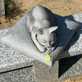 まだ生きているのに像になっています。