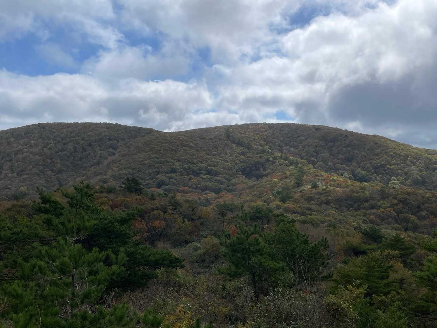 紅葉🍁はもう少しかな？