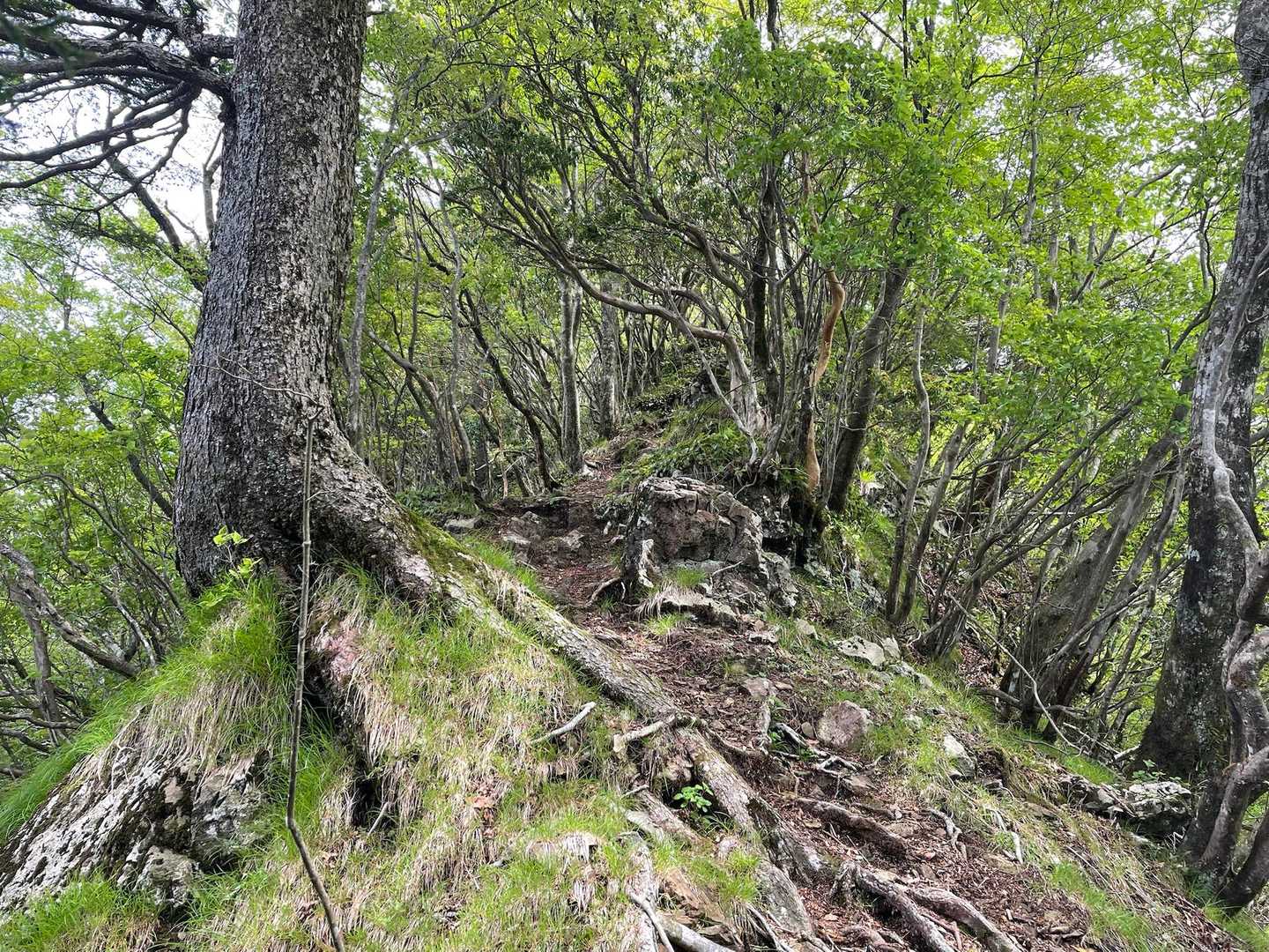 第二真富士山へ