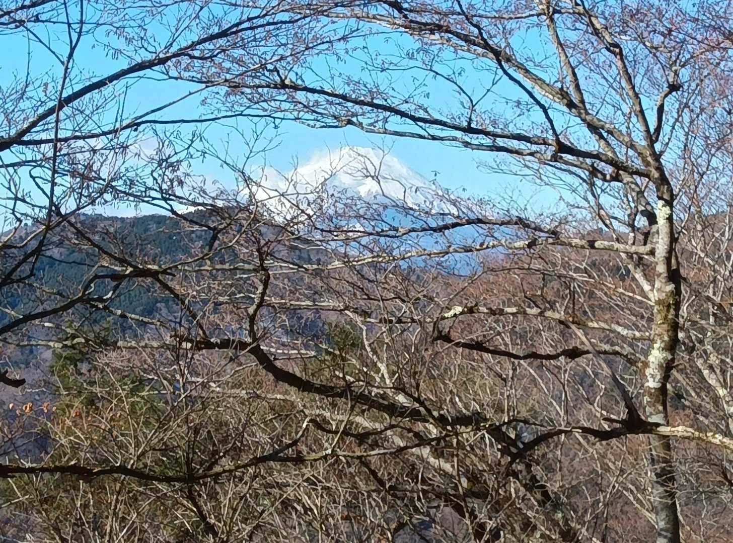 富士山が見えてきた。