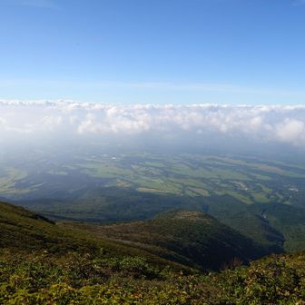 雲海が広がり
阿蘇五岳を拝むことができませんでした...