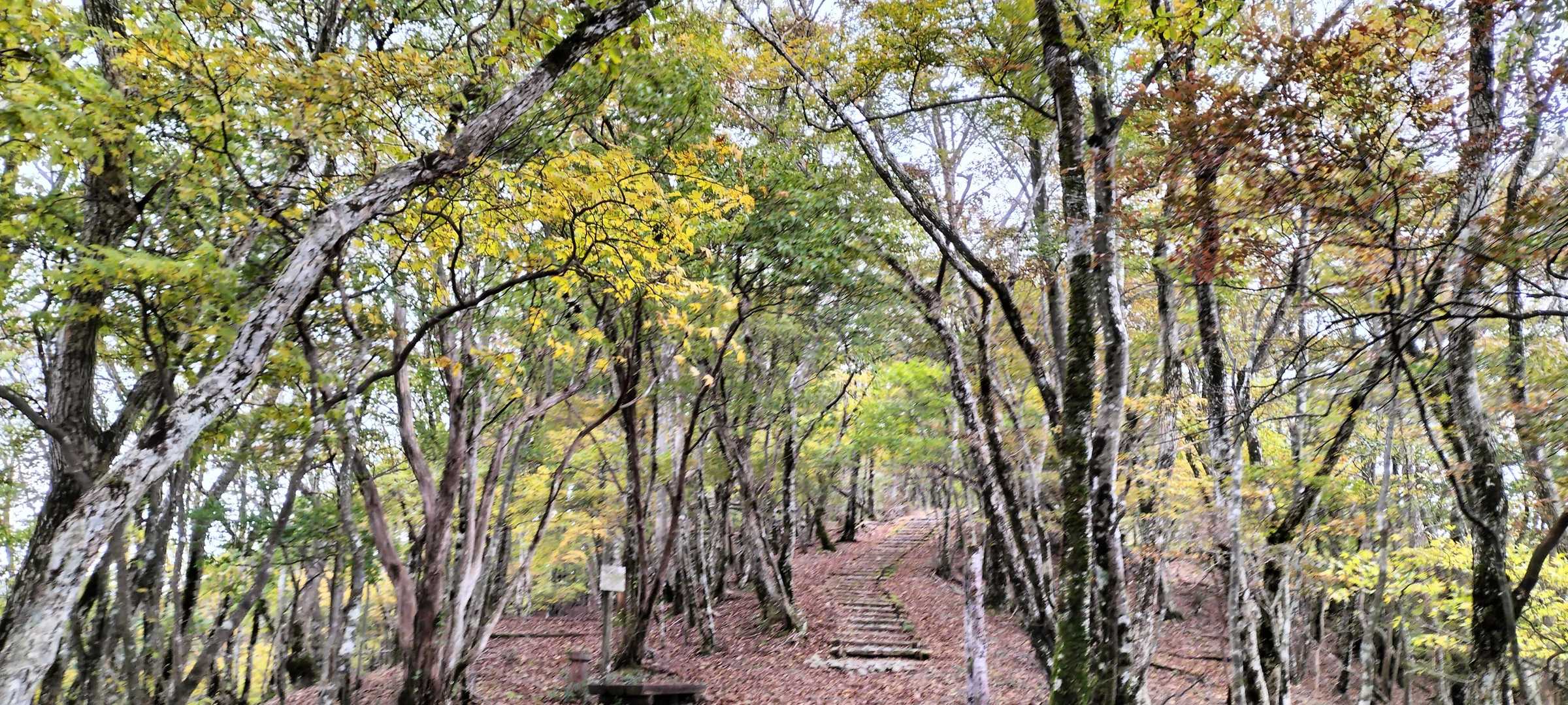さて、護摩壇山へひとっ走り行きます🏃