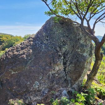 獅子岩🦁
確かに右を向いたライオンに見える