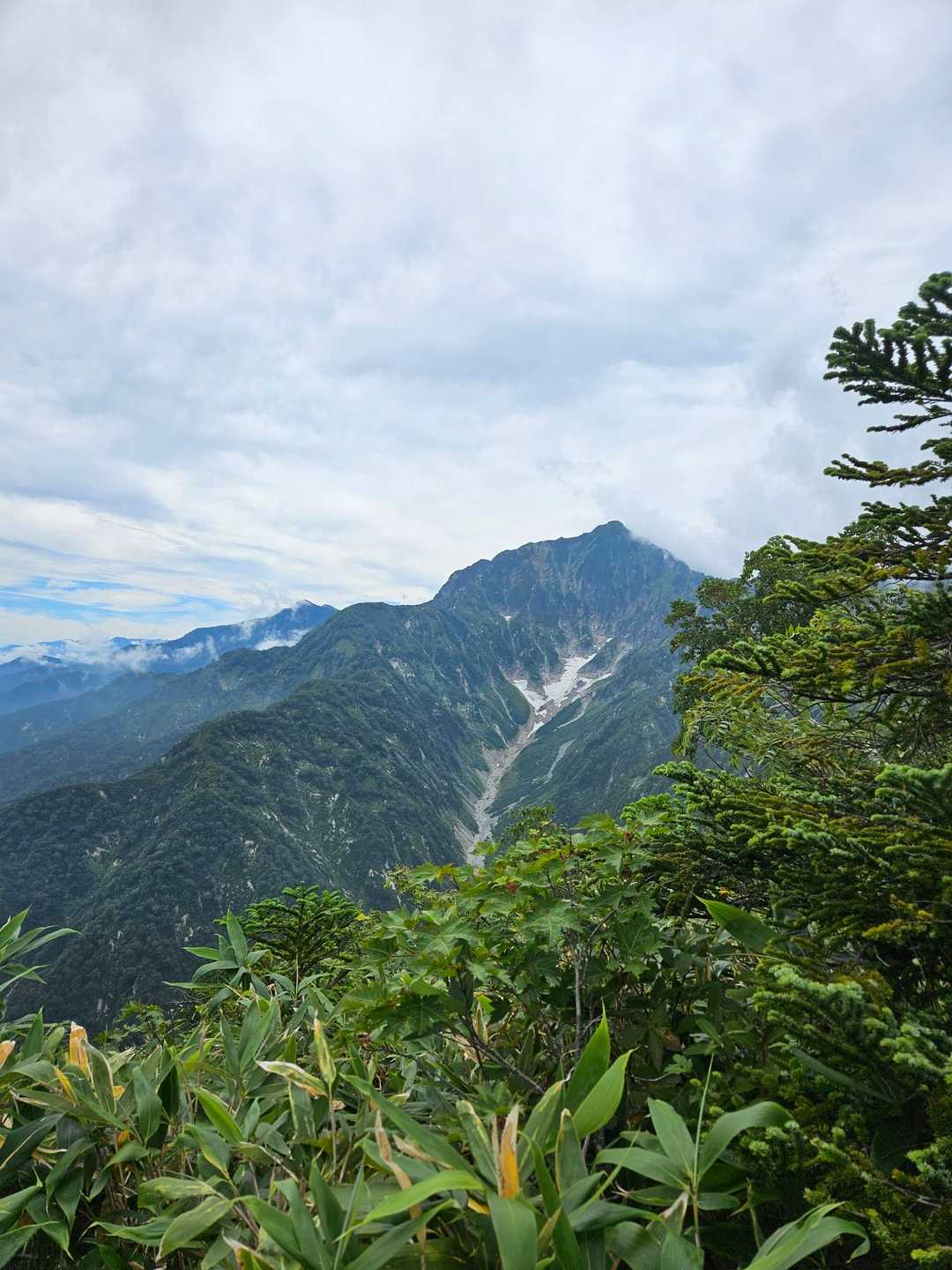 アルプス平〜遠見尾根〜五竜岳 往復コースの写真
