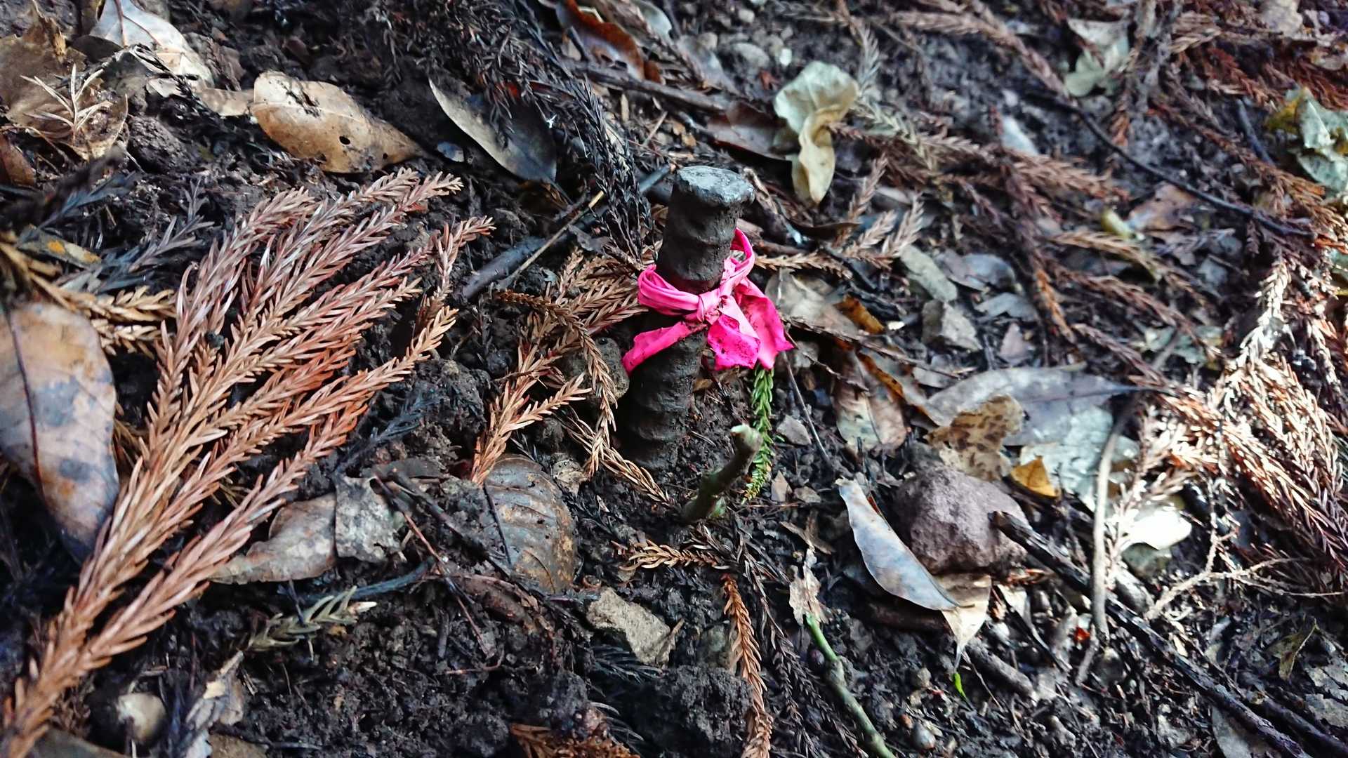 登山道の真ん中に鉄筋が有るので
要注意です
リボンの無い物は分かりにくい