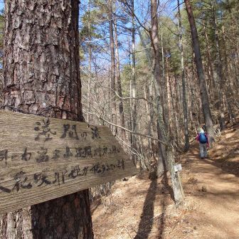 浅間の滝へ
せんげんのたき

この手前で左に行く道があるが
YAMAPで確認して尾根を上がりました