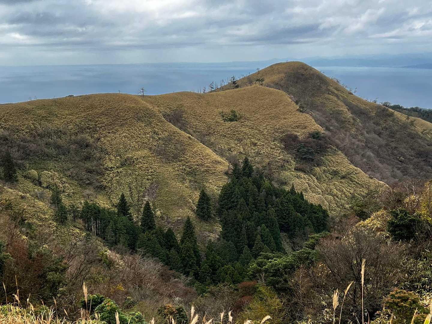 伽藍山-古稀山-達磨山 往復コースの写真